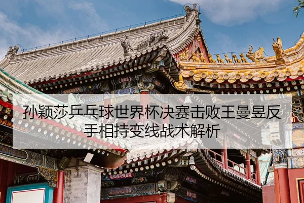 sun-ying-sha-ping-pang-qiu-shi-jie-bei-jue-sai-ji-bai-wang-man-yu-fan-shou-xiang-chi-bian-xian-zhan-shu-jie-xi-2-167.jpg